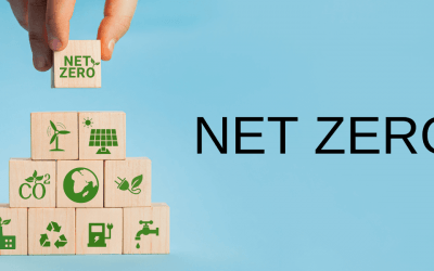 Protected: Net Zero